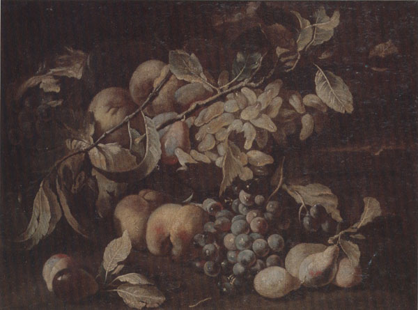 Still life of red and white grapes,peaches and plums,on a stone ledge